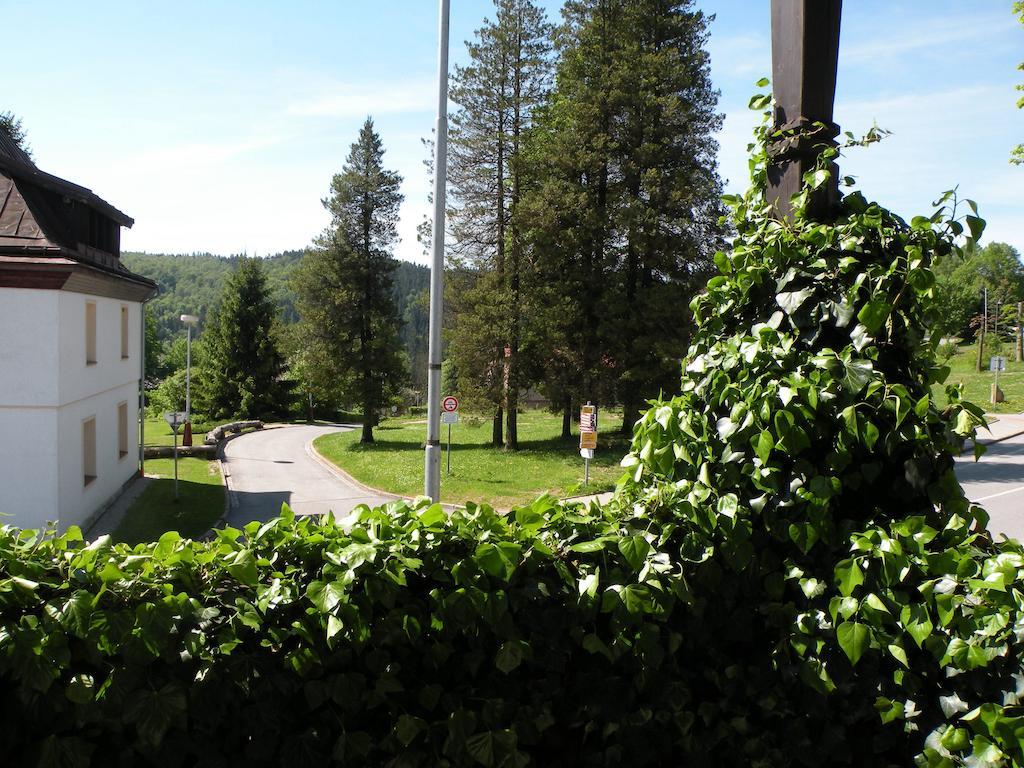 Hotel Lesni Dum Janské Lázně Camera foto